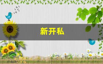 梦幻西游私服网站:新